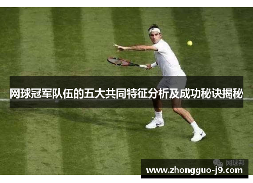 网球冠军队伍的五大共同特征分析及成功秘诀揭秘