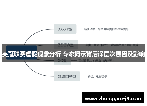 英冠联赛虚假现象分析 专家揭示背后深层次原因及影响