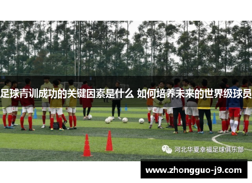 足球青训成功的关键因素是什么 如何培养未来的世界级球员