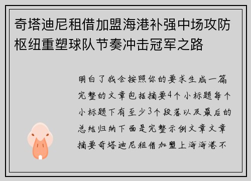 奇塔迪尼租借加盟海港补强中场攻防枢纽重塑球队节奏冲击冠军之路